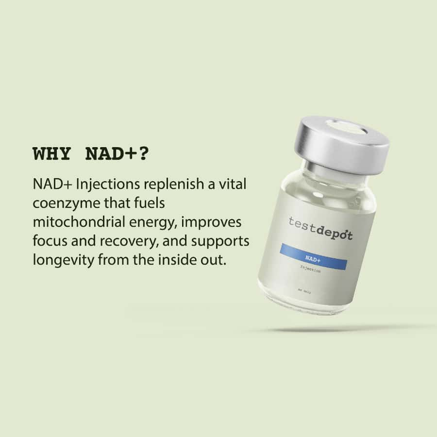 How NAD longevity therapy restores cellular function